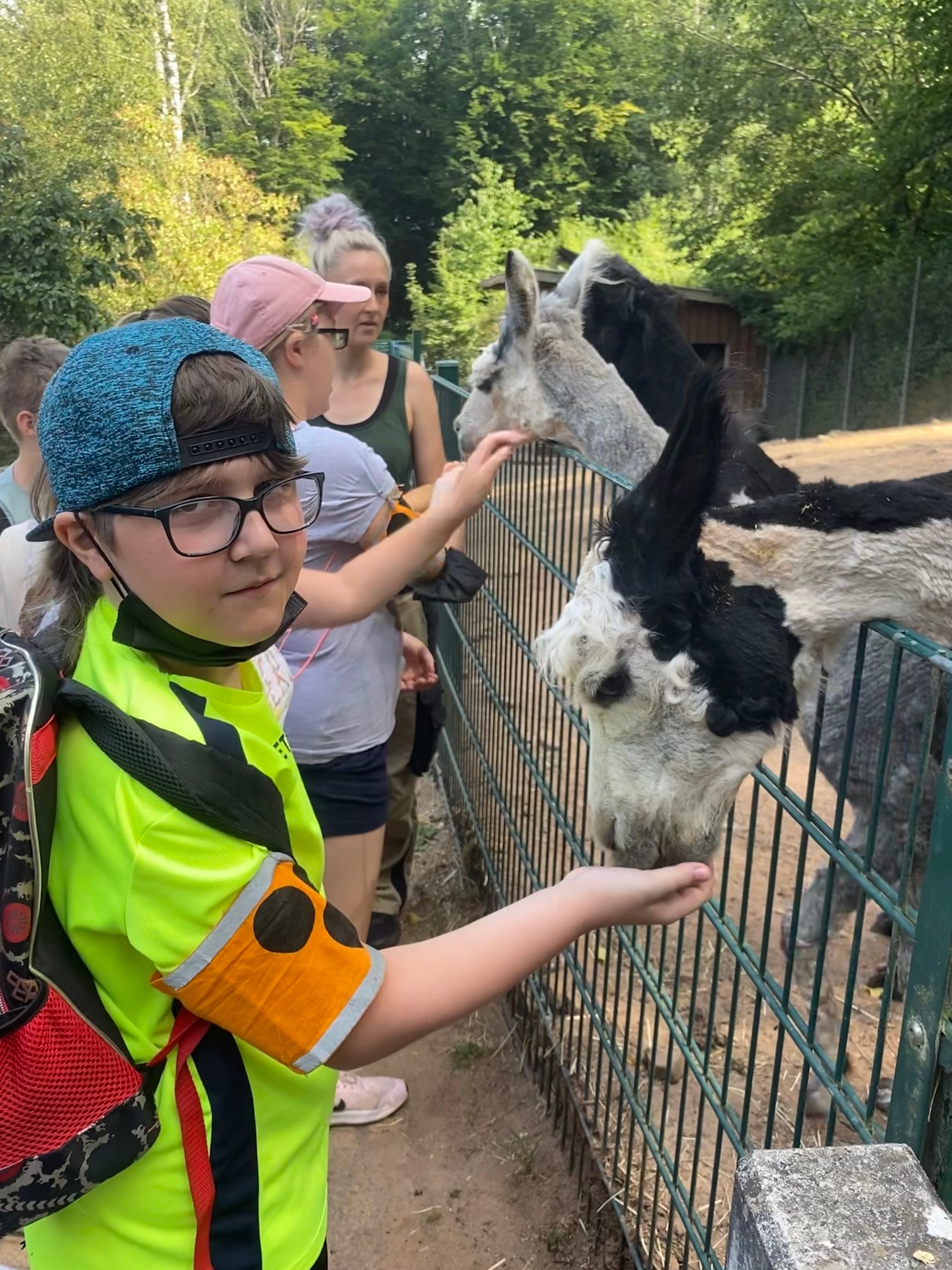 f%C3%BCttern%20der%20Alpakas f%C3%BCttern%20der%20Alpakas